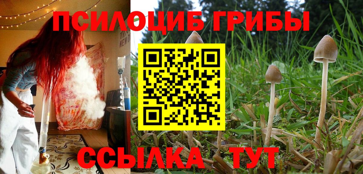 Псилоцибиновые грибы мухоморы Рузаевка