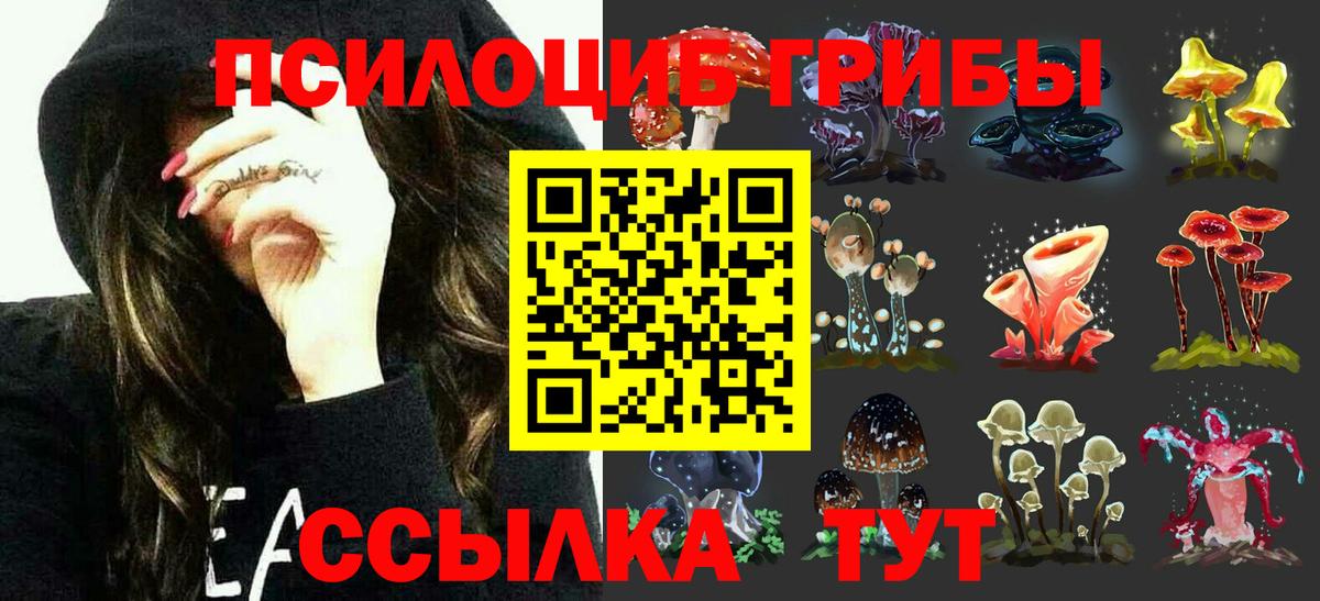 продажа наркотиков  Вход с VPN  Рузаевка  Псилоцибиновые грибы Magic Shrooms 